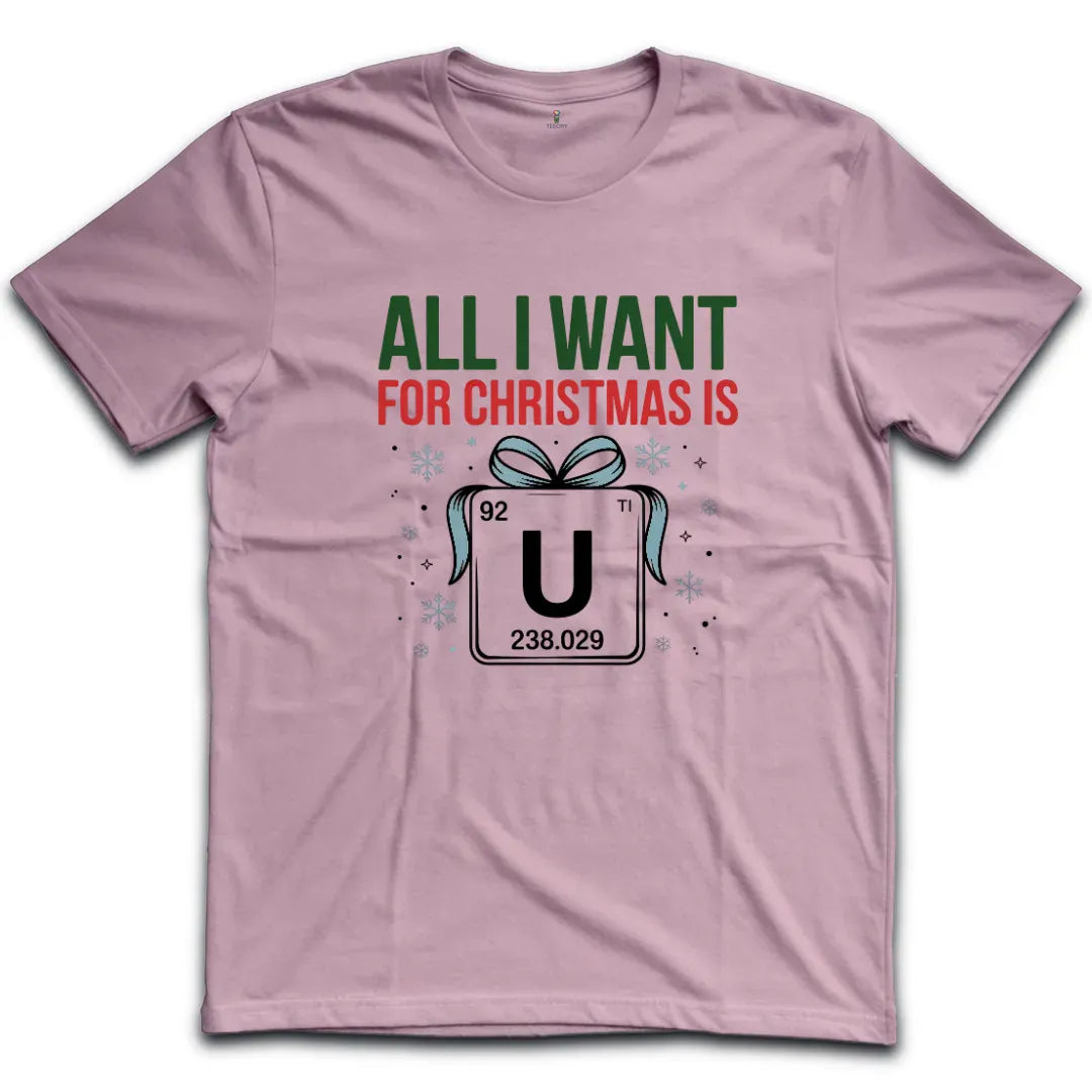 All I Want for Christmas T-Shirt