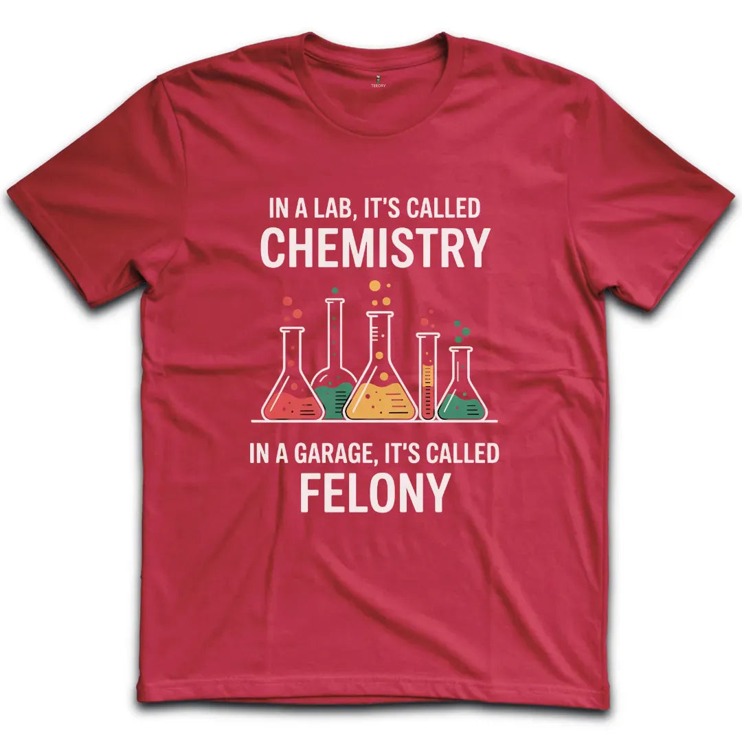 Felony T-Shirt