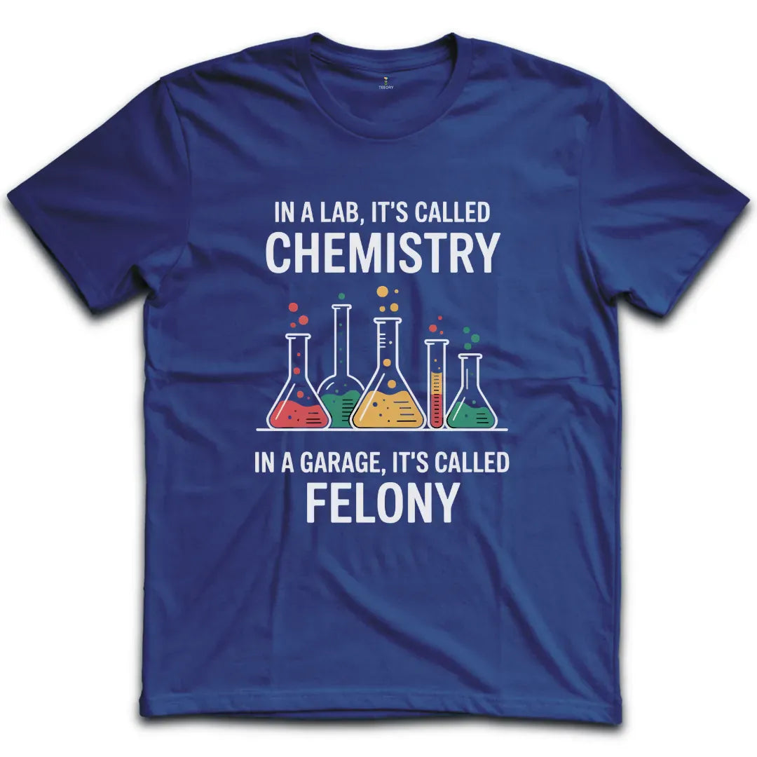 Felony T-Shirt