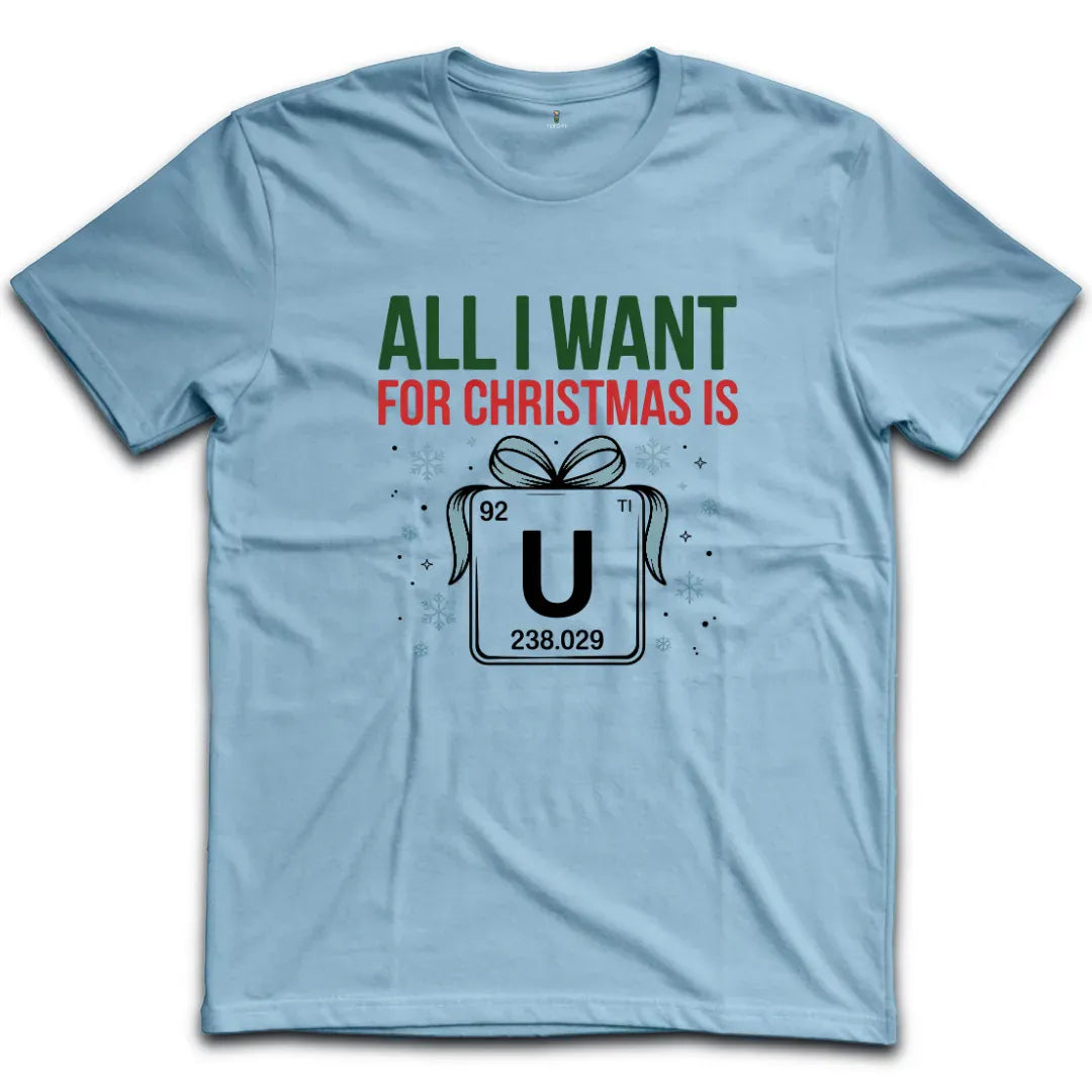 All I Want for Christmas T-Shirt